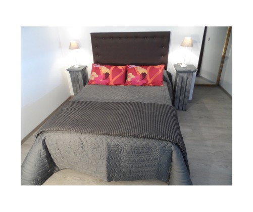 coussins décoratif fushia exotique 45 x 70 cm